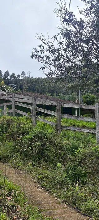 Foto 16 de Chácara no Bairro Gois — 18.000 m² com Casa