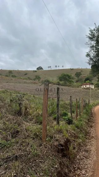 Foto 9 de Sítio em Piranguinho — Parte de Baixo com Casa e Piscina, 5 Hectares
