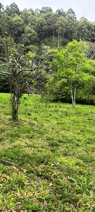 Foto 12 de Chácara no Bairro Gois — 18.000 m² com Casa
