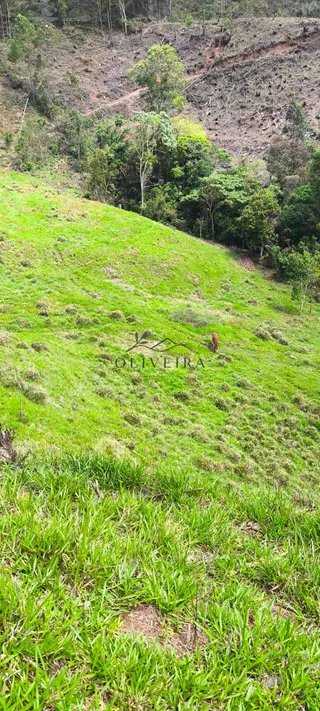 Foto 6 de Natureza, tranquilidade e água própria a apenas 5 minutos do centro!