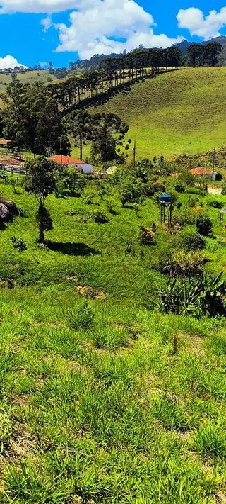Foto 5 de Chácara em Delfim Moreira — 4.500 m²