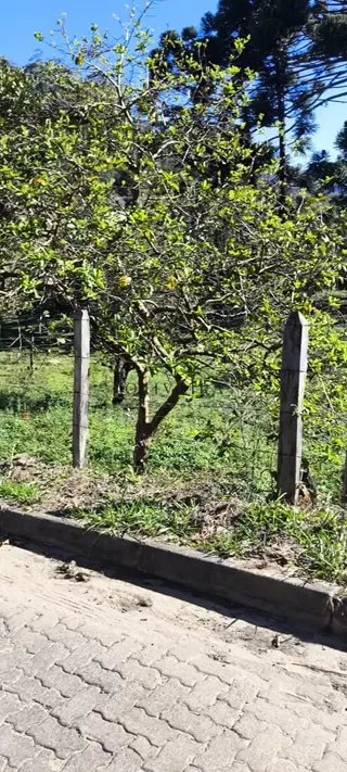 Foto 4 de Comece aqui o projeto da sua nova casa