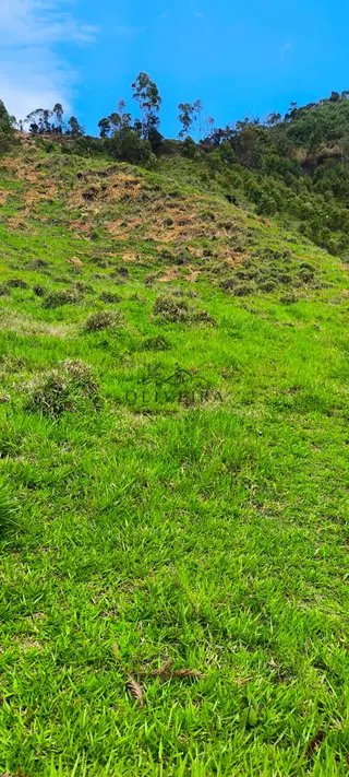 Foto 9 de Natureza, tranquilidade e água própria a apenas 5 minutos do centro!