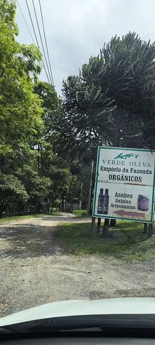 Foto 3 de Propriedade Rural em Delfim Moreira — 20 Hectares