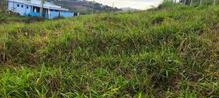 Foto 5 de Excelente Oportunidade de Investimento em Piranguinho/MG