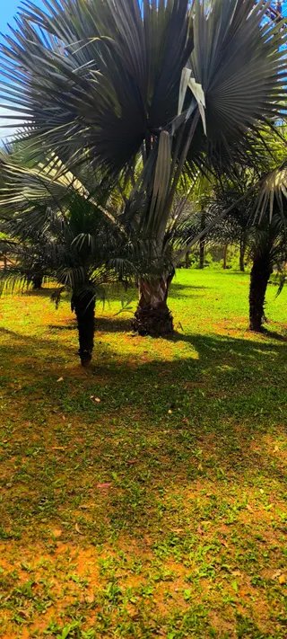Foto 2 de Seu refúgio em meio à natureza, com excelente acesso e pertinho de Itajubá!