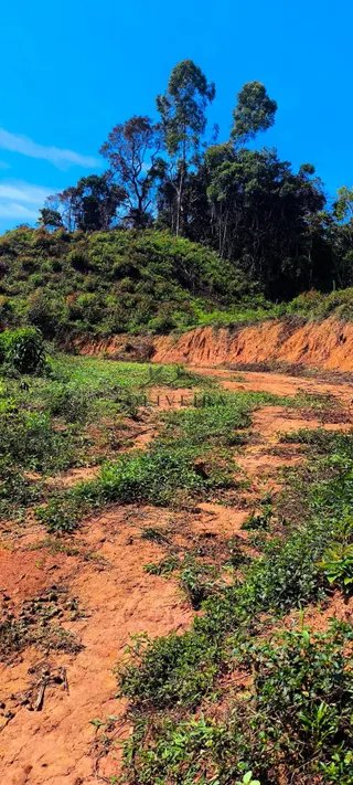 Foto 7 de SEU REFÚGIO NAS MONTANHAS DA MANTIQUEIRA PODE ESTAR AQUI!