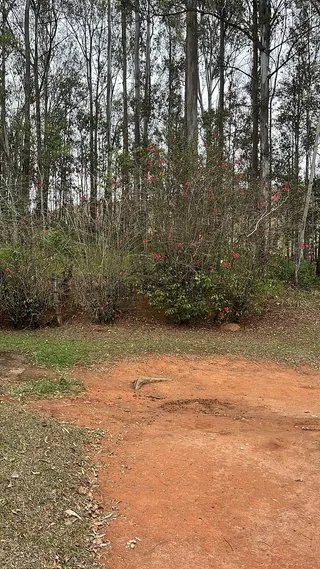 Foto 2 de Sítio em Piranguinho — Parte de Baixo com Casa e Piscina, 5 Hectares