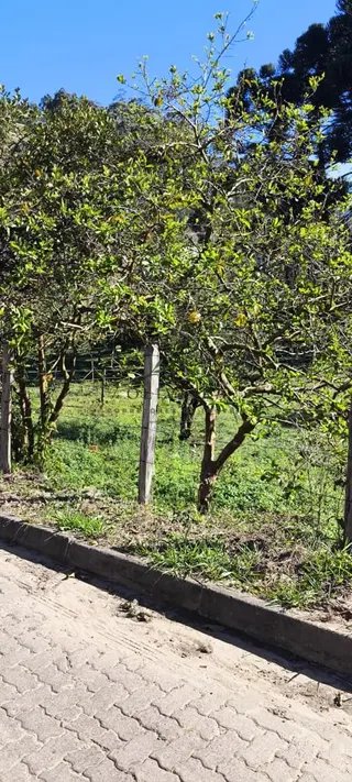 Foto 8 de O terreno onde seu próximo projeto começa