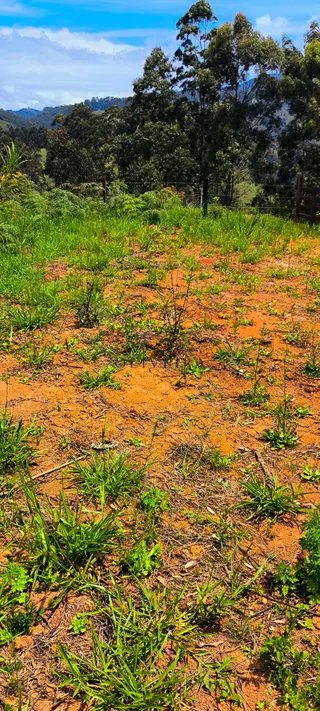 Foto 8 de SEU REFÚGIO DOS SONHOS ESTÁ AQUI! Terreno Plano e Pronto para Construir