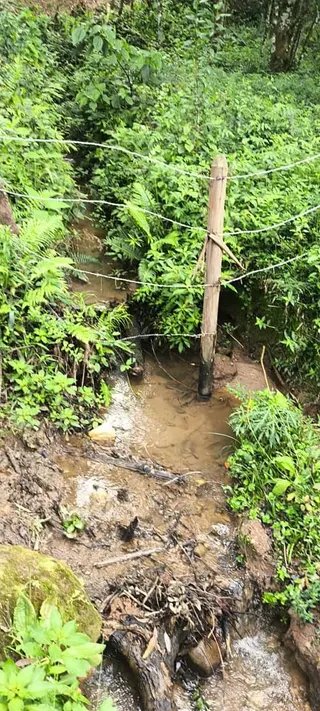 Foto 25 de Propriedade Rural em Delfim Moreira — 20 Hectares