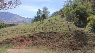 Foto 15 de Sítio de 1 hectare em Biguá, Delfim Moreira/MG — natureza, água em abundância e grande potencial