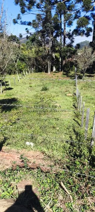 Foto 17 de O terreno onde seu próximo projeto começa