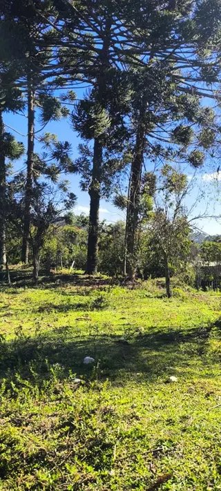 Foto 5 de O terreno onde seu próximo projeto começa