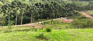 Foto 2 de Natureza, água própria e tranquilidade a apenas 1,5 km da cidade!