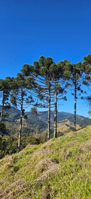 Foto 8 de Chácara de 1.400 m² (2 unidades disponíveis)