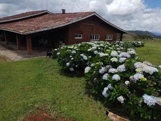Foto 84 de Fazenda Cadima — 192 Hectares com Águas Abundantes