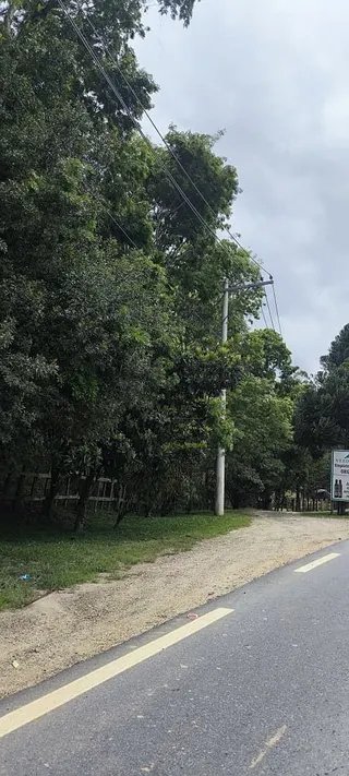 Foto 4 de Propriedade Rural em Delfim Moreira — 20 Hectares