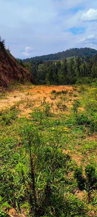 Foto 11 de Natureza, tranquilidade e a oportunidade de ter seu próprio espaço no campo!