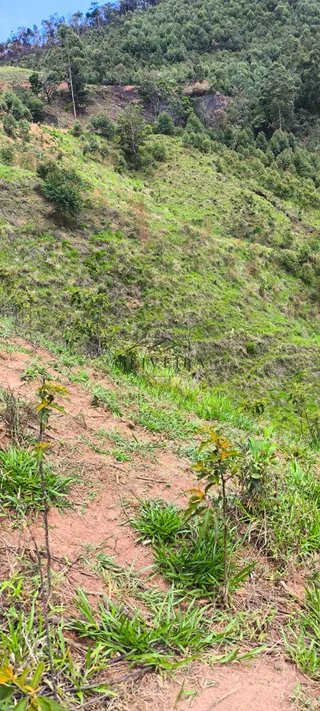 Foto 4 de Natureza, tranquilidade e água própria a apenas 5 minutos do centro!