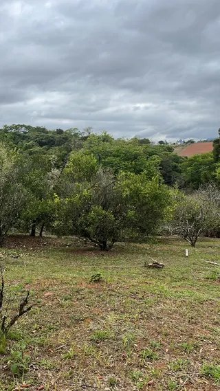 Foto 6 de Sítio em Piranguinho — Parte de Baixo com Casa e Piscina, 5 Hectares
