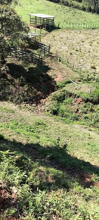 Foto 4 de Chácara em Delfim Moreira — 19.000 m²