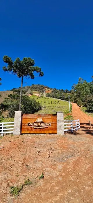 Foto 11 de Chácara de 1.400 m² (2 unidades disponíveis)