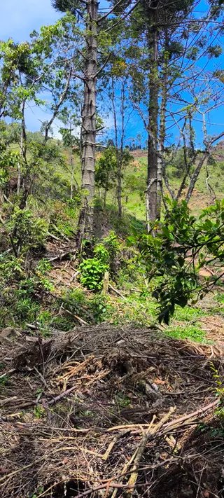 Foto 10 de Natureza, tranquilidade e água própria a apenas 5 minutos do centro!