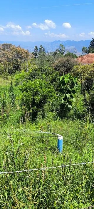 Foto 18 de Chácara em Delfim Moreira — 4.500 m²