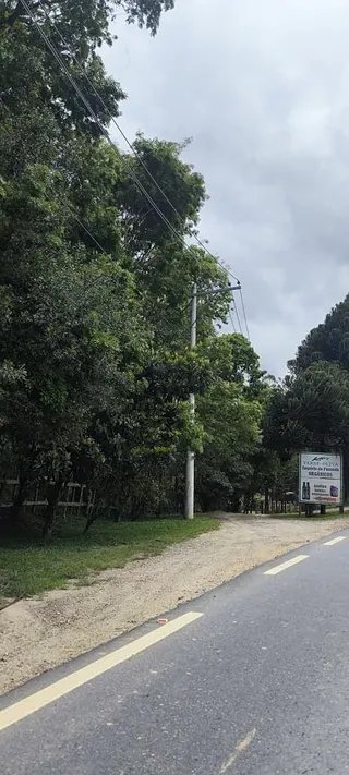 Foto 2 de Propriedade Rural em Delfim Moreira — 20 Hectares
