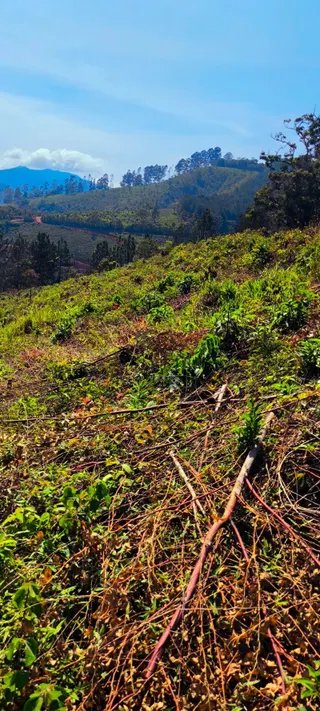 Foto 13 de SEU REFÚGIO NAS MONTANHAS DA MANTIQUEIRA PODE ESTAR AQUI!