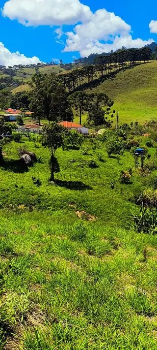 Foto 9 de Chácara em Delfim Moreira — 4.500 m²