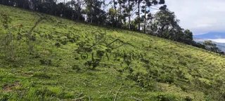 Foto 10 de Gleba com Vista Panorâmica — 6.700 m² (6 lotes disponíveis)