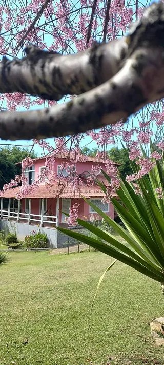 Foto 10 de Chácara no Bairro São Pedro — 10.000 m² (duas casas)