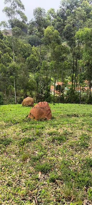 Foto 8 de Chácara no Bairro Gois — 18.000 m² com Casa
