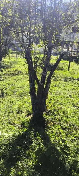 Foto 16 de O terreno onde seu próximo projeto começa