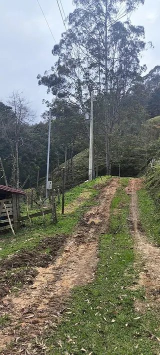 Foto 23 de Propriedade Rural em Delfim Moreira — 20 Hectares