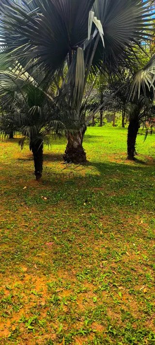 Foto 3 de Seu refúgio em meio à natureza, com excelente acesso e pertinho de Itajubá!