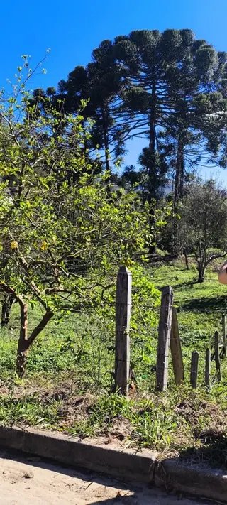 Foto 11 de O terreno onde seu próximo projeto começa
