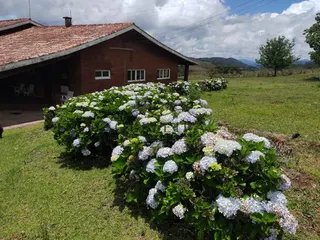 Foto 85 de Fazenda Cadima — 192 Hectares com Águas Abundantes