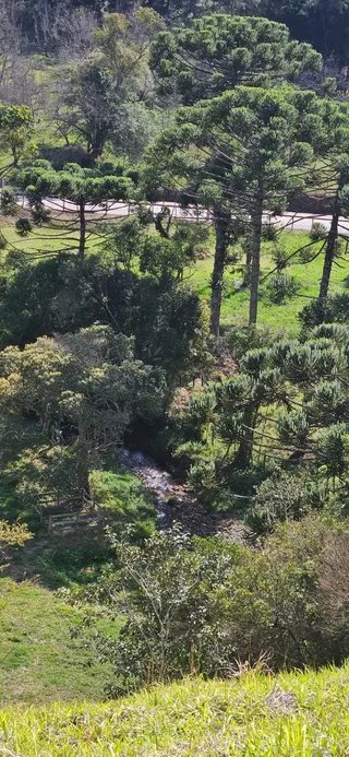 Foto 15 de Chácara de 1.400 m² (2 unidades disponíveis)