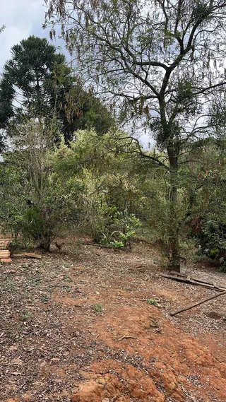 Foto 12 de Sítio em Piranguinho — Parte de Baixo com Casa e Piscina, 5 Hectares