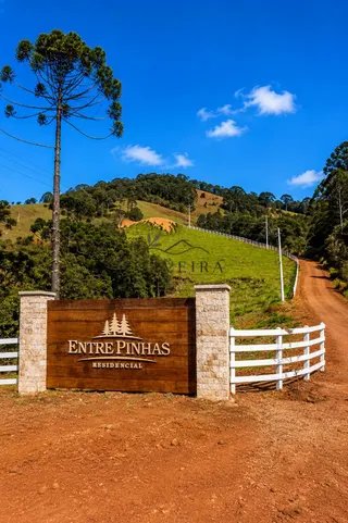 Foto 16 de Chácara de 2.100 m² (3 unidades disponíveis)