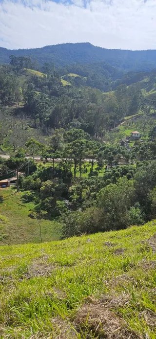 Foto 7 de Chácara de 1.400 m² (2 unidades disponíveis)