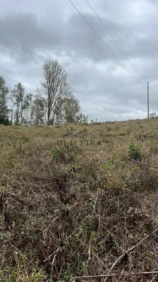 Foto 14 de Sítio em Piranguinho — Parte de Baixo com Casa e Piscina, 5 Hectares