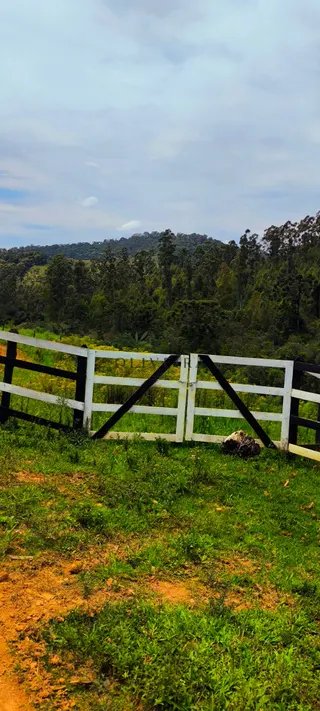 Foto 3 de Natureza, tranquilidade e a oportunidade de ter seu próprio espaço no campo!