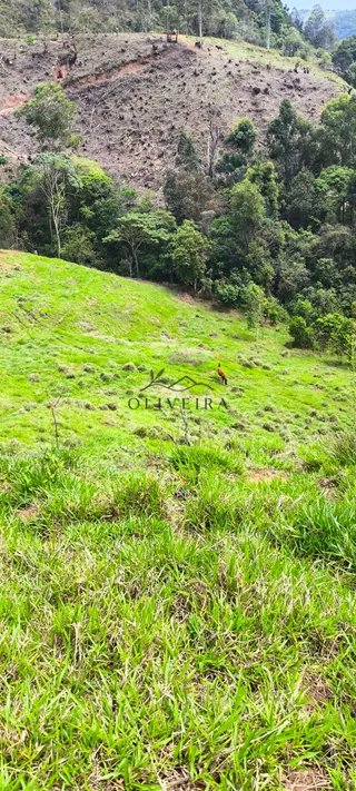 Foto 5 de Natureza, tranquilidade e água própria a apenas 5 minutos do centro!