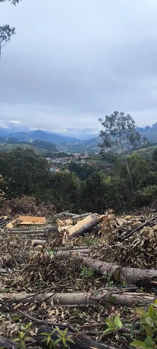 Foto 19 de Propriedade Rural em Delfim Moreira — 20 Hectares