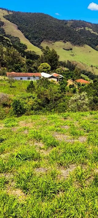 Foto 7 de Chácara em Delfim Moreira — 4.500 m²
