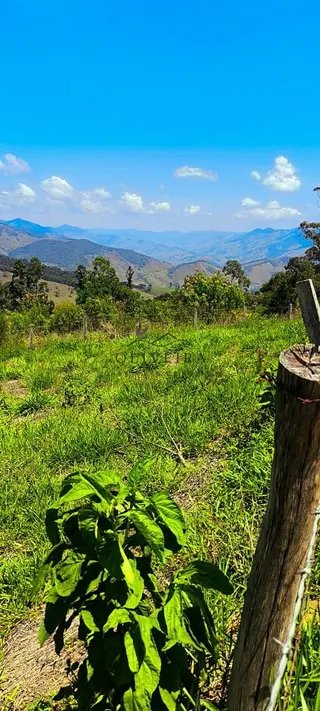 Foto 10 de Chácara em Delfim Moreira — 4.500 m²